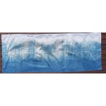 Indigo Dyed Shibori Indian Silk Scarf Large 009