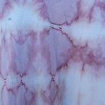 Sussan Brand 100% Cotton Sapanwood Dyed Shibori Top