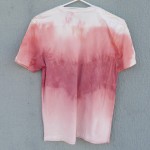 Sappanwood Dyed Shibori T-Shirt 094