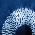 Indigo Dyed Shibori T-Shirt